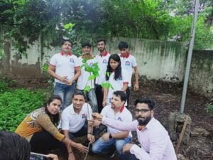 tree plantation drive