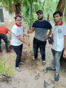 Tree Plantation Drive