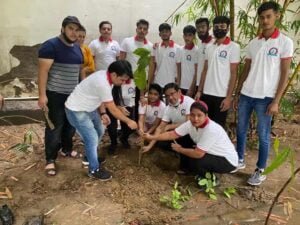 Tree Plantation Drive